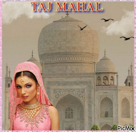 taj xxx